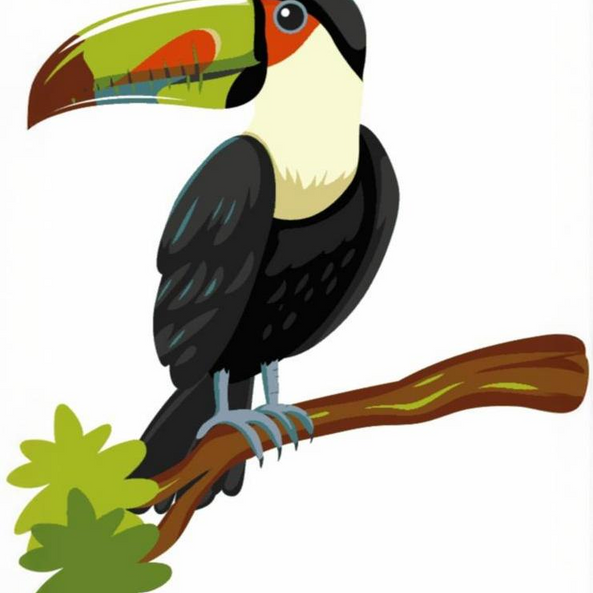 Toucan Bird