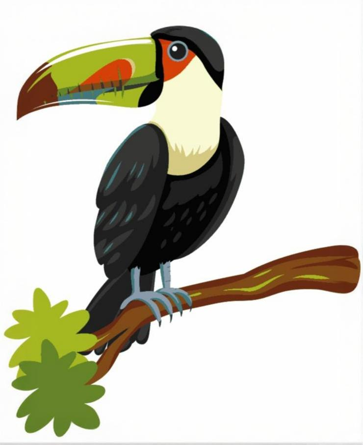 Toucan Bird