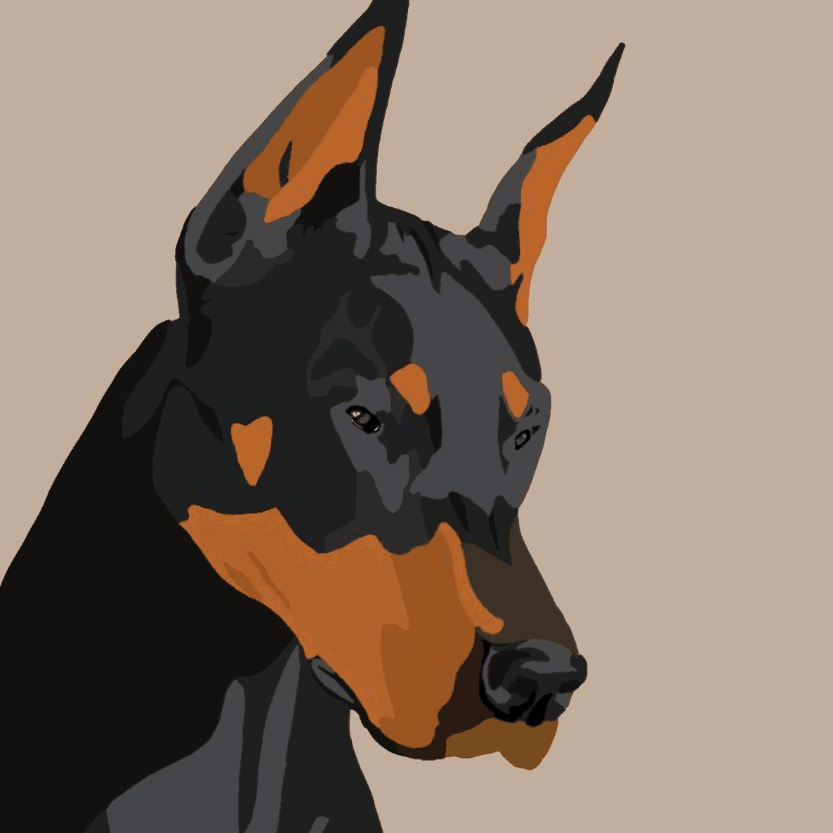 Doberman Portrait