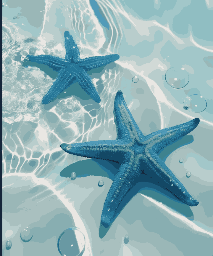 Cosatal Jewels - Summer Edition