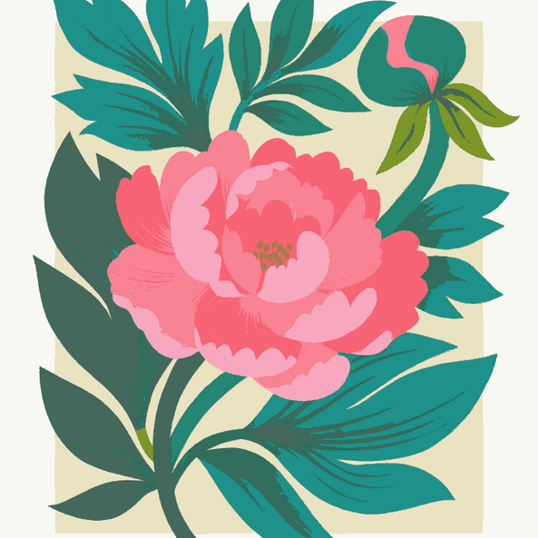 Blush in Bloom