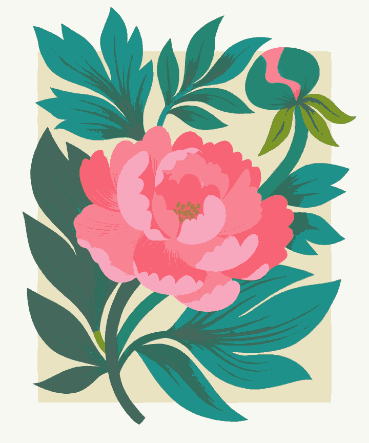 Blush in Bloom
