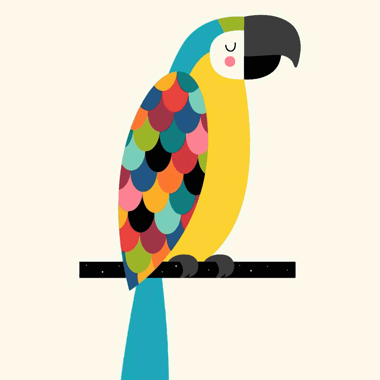 Macaw Parrot