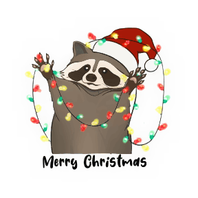 Racoon Christmas