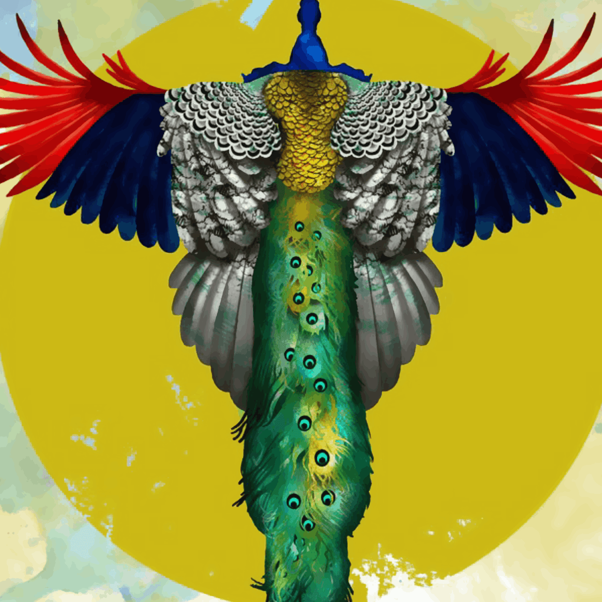 Peacock with Feathers