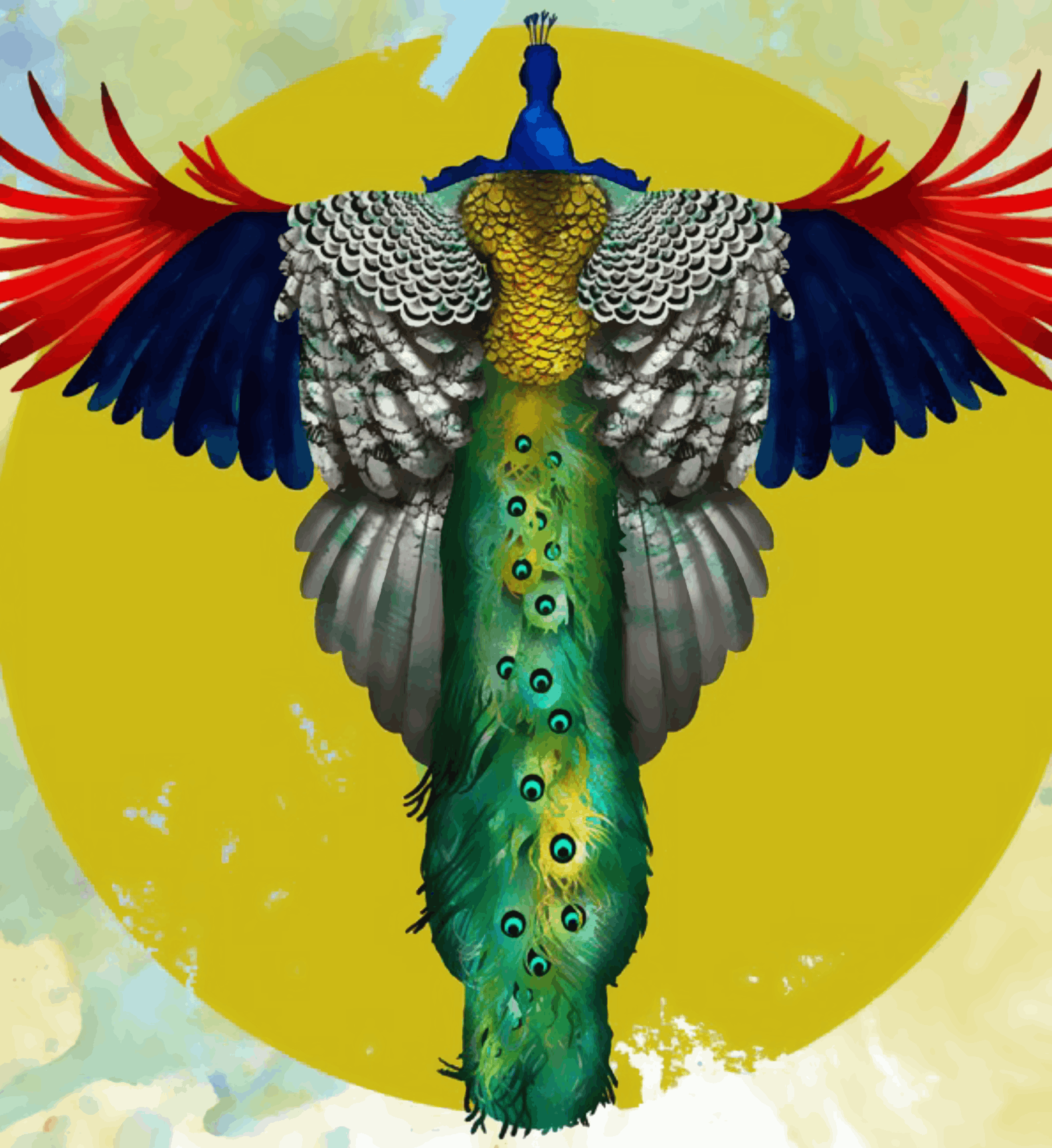 Peacock with Feathers