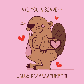 Beaver