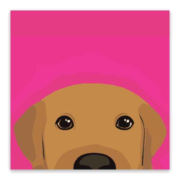 Fuschia Friend