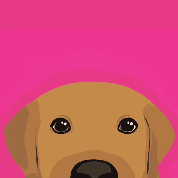 Fuschia Friend
