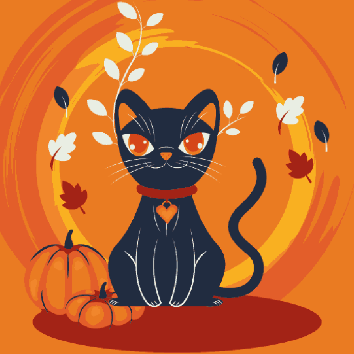 Black Cat
