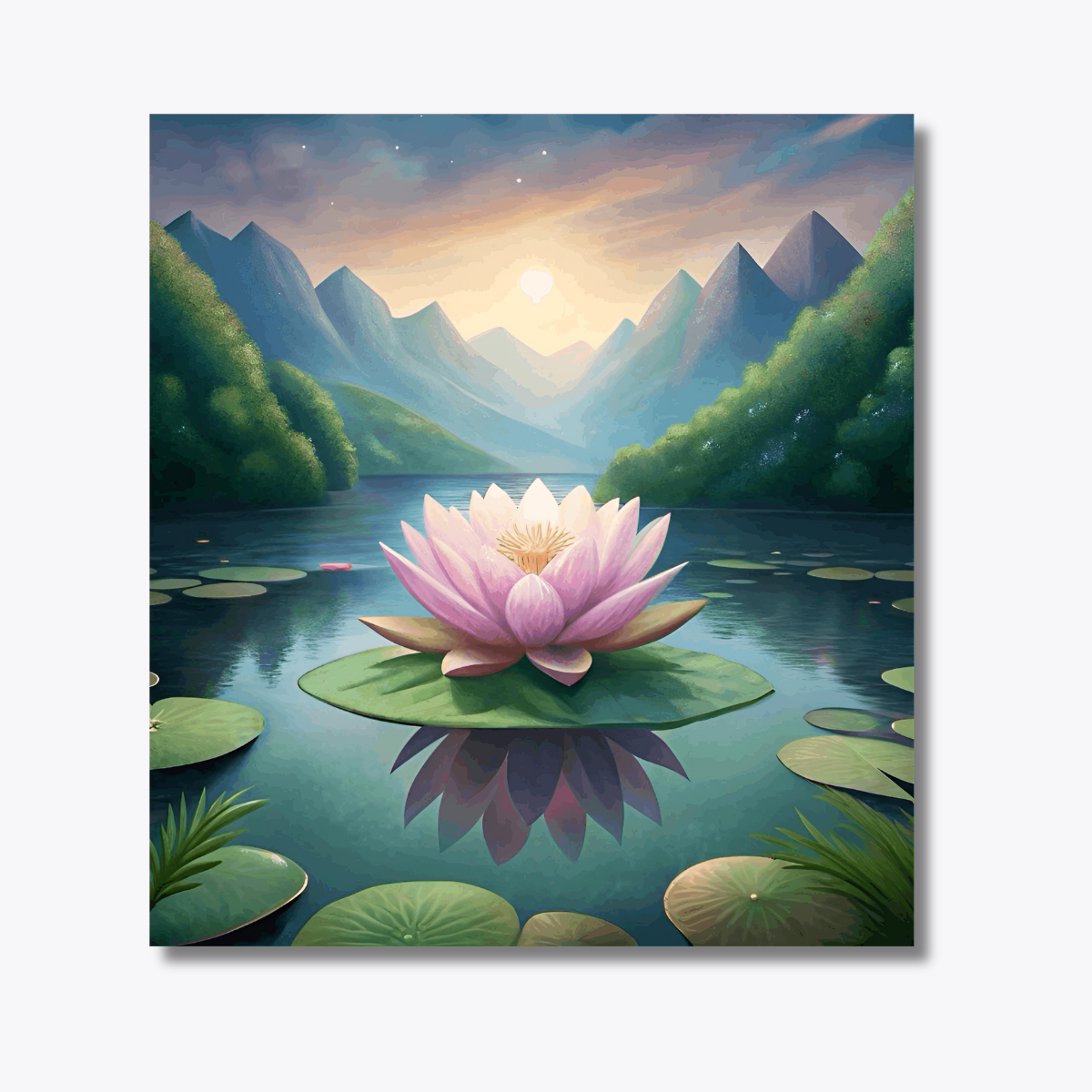 Pink Lotus in the Highlands