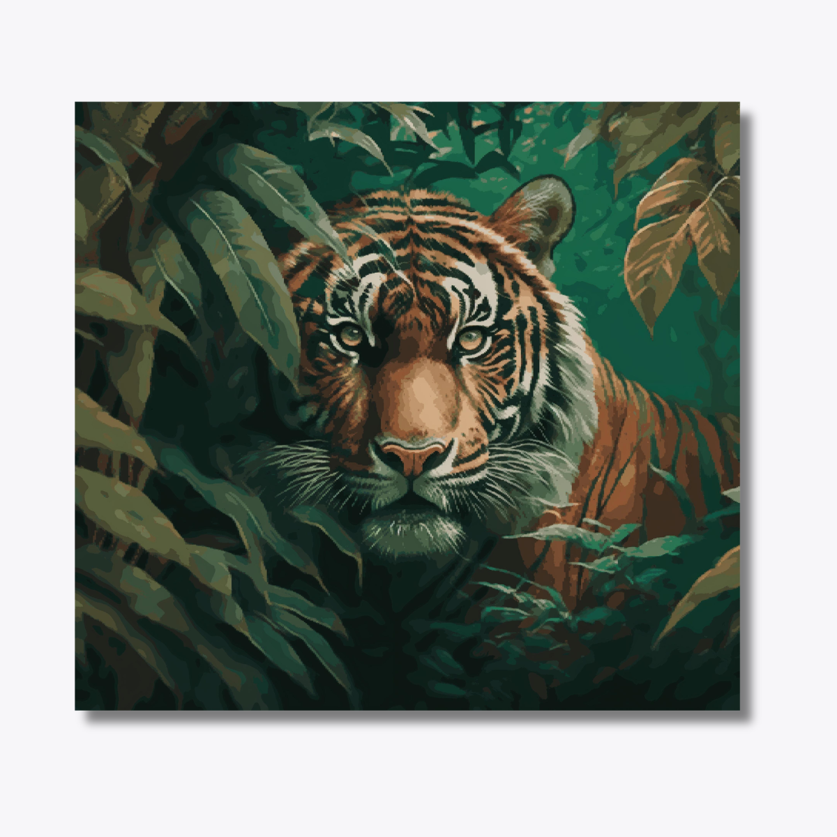 Tiger Staring - Eye of the Tiger