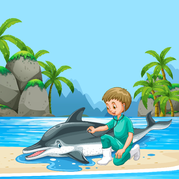 Boy & Dolphin