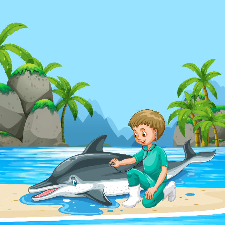 Boy & Dolphin