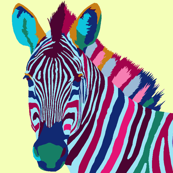 Colourful Zebra