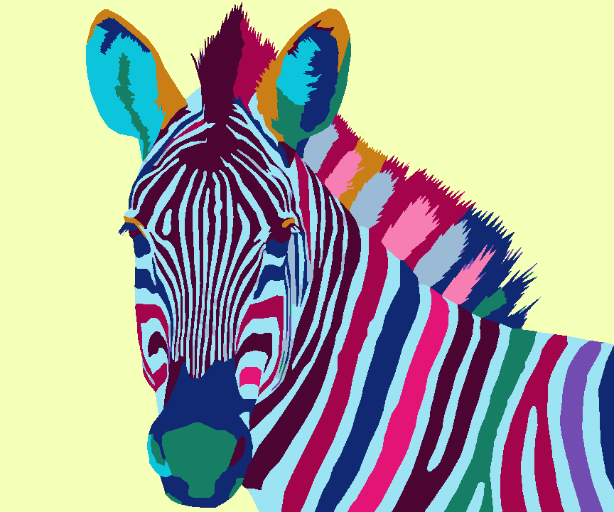 Colourful Zebra