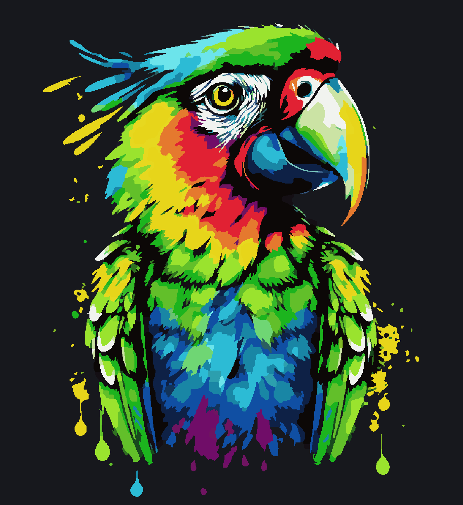 Cute Colorful Parrot