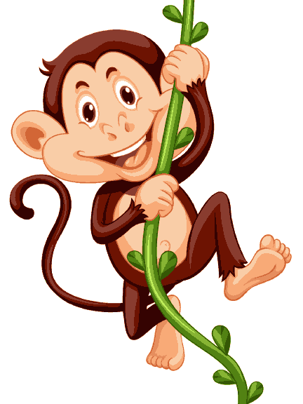 Cute Monkey
