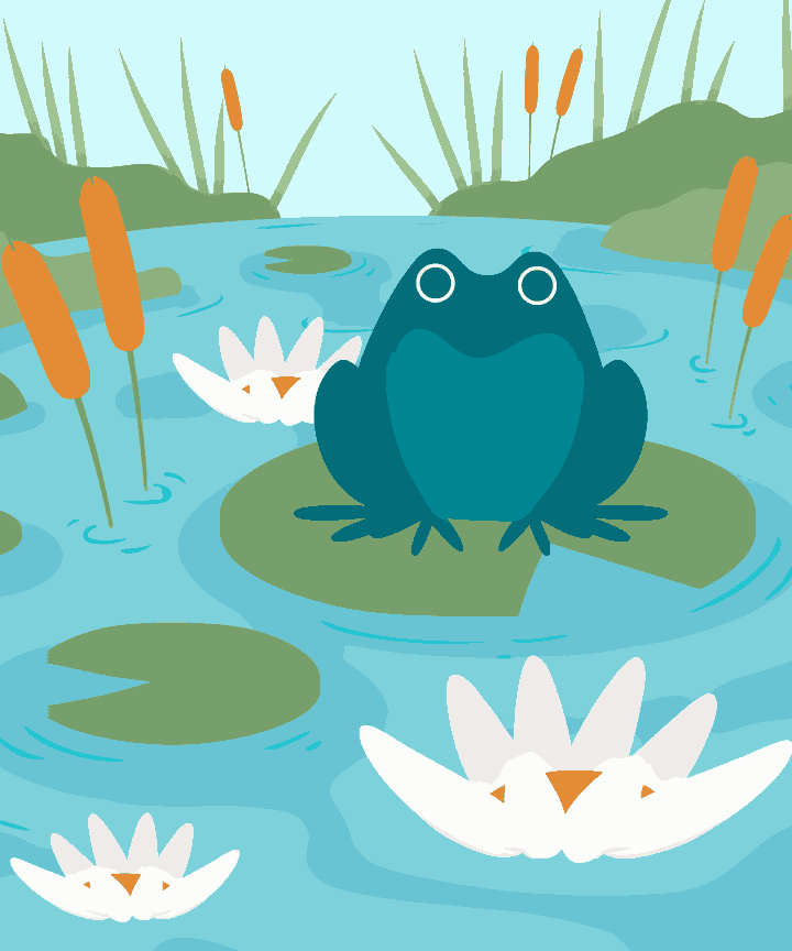 Frog and Lotus