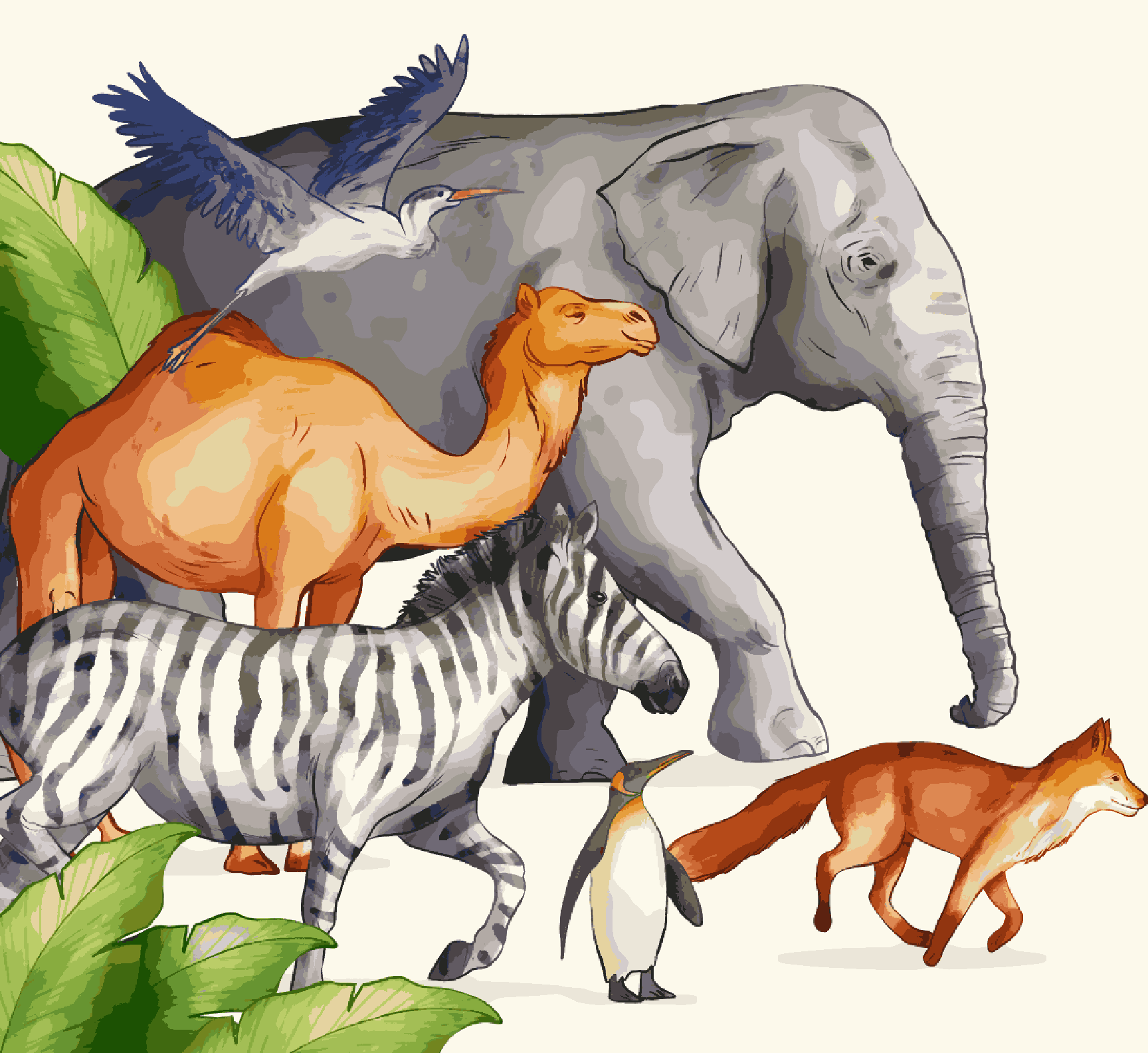 Group of Animal Running