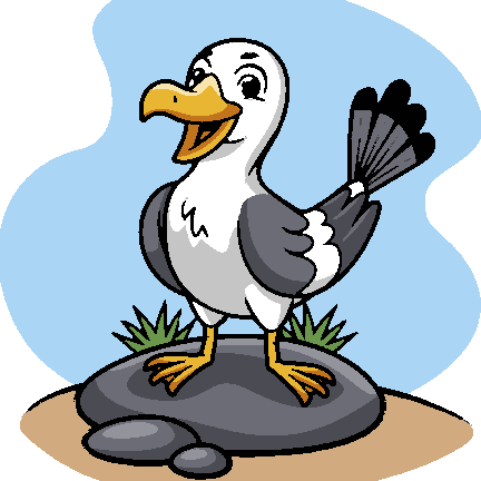 Happy Seagull