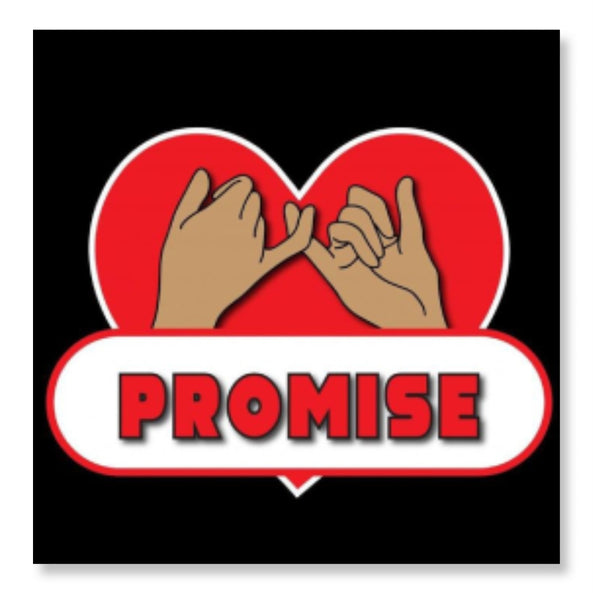 I Promise - Valentine Special