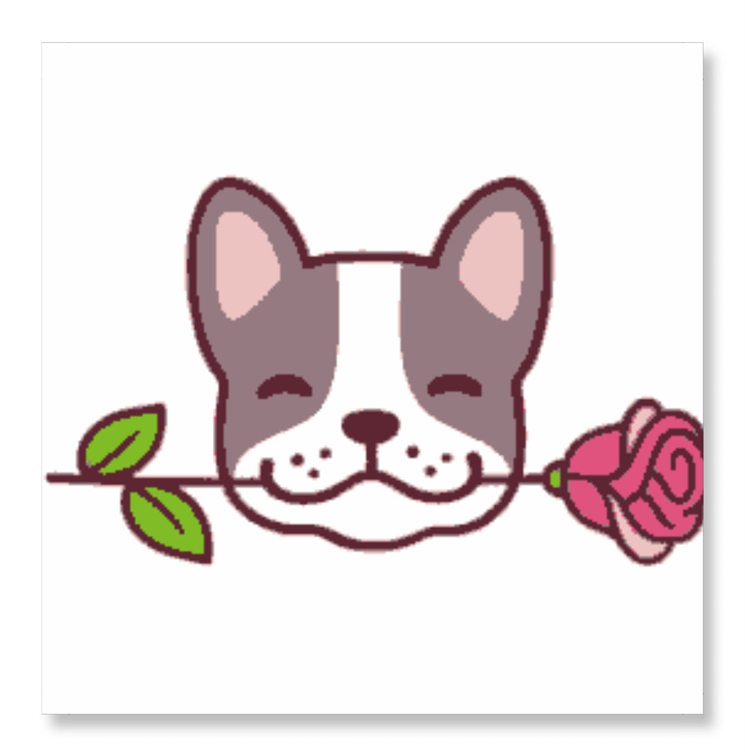 Pug with Rose - Valentine Special