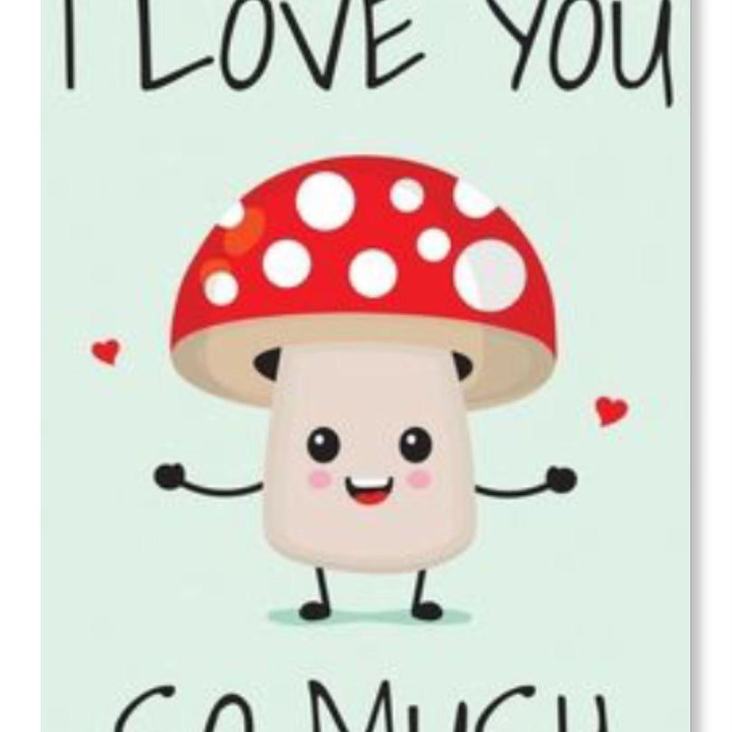 I Love You So Mush - Valentine Special