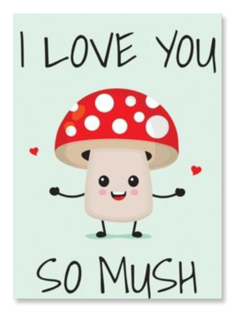 I Love You So Mush - Valentine Special