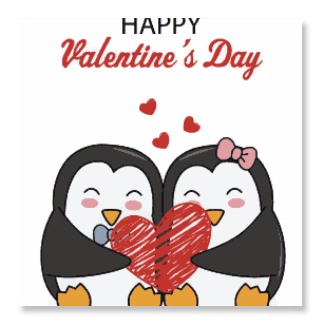 Happy Valentine Day from Penguins - Valentine Special