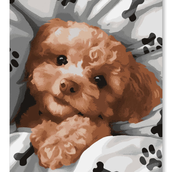 Cuddle Campanion