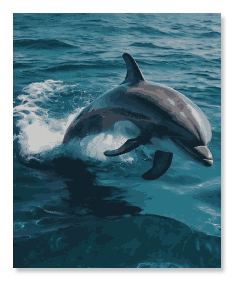 Blue Joy Ride - Summer Edition