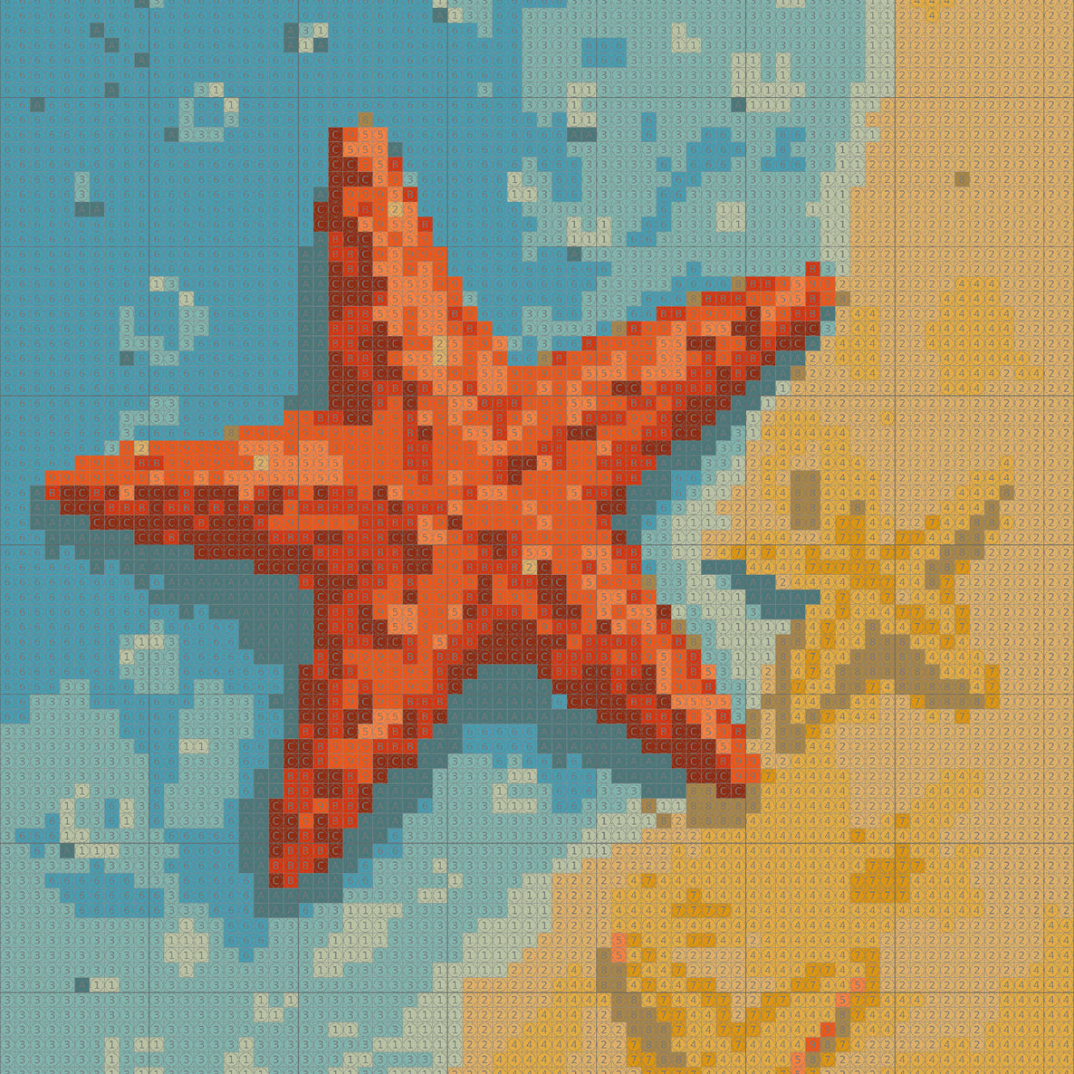 Star Fish on Beach Dot by Number Kit