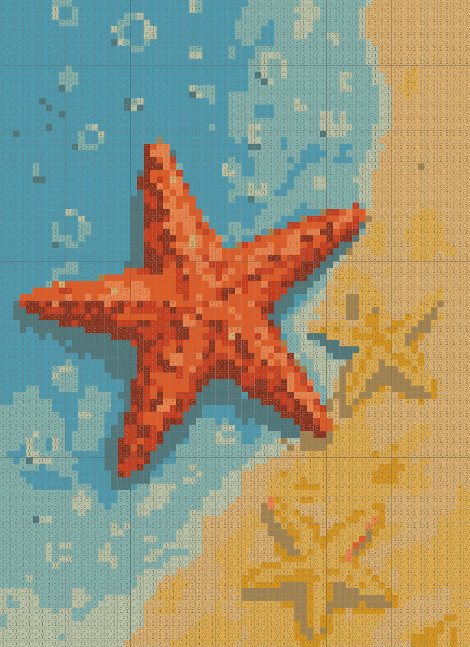 Star Fish on Beach Dot by Number Kit