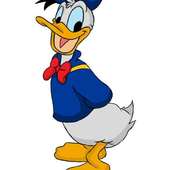 Disney Donald Duck