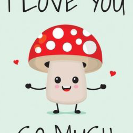 I Love You So Mush - Valentine Special