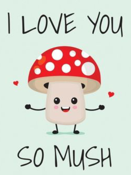 I Love You So Mush - Valentine Special
