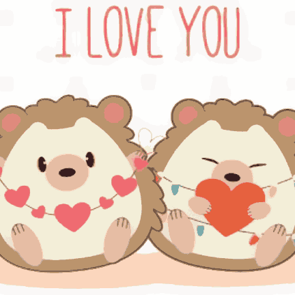 I Love You Hedgehog - Valentine Special