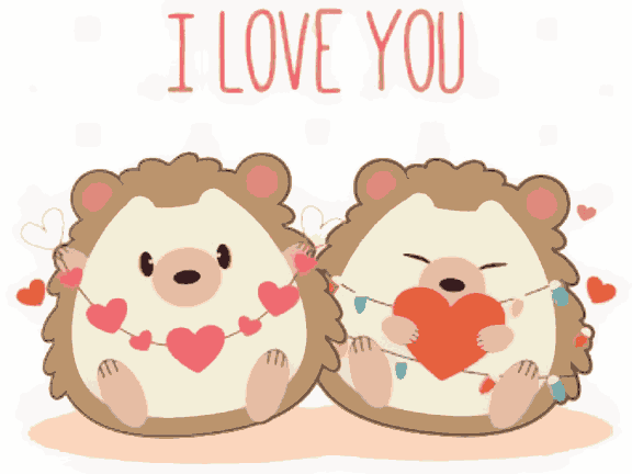 I Love You Hedgehog - Valentine Special
