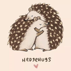 Hedge Hug - Hug Day