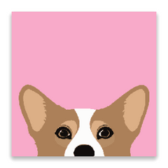 The Corgi Peek