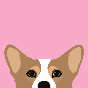 The Corgi Peek