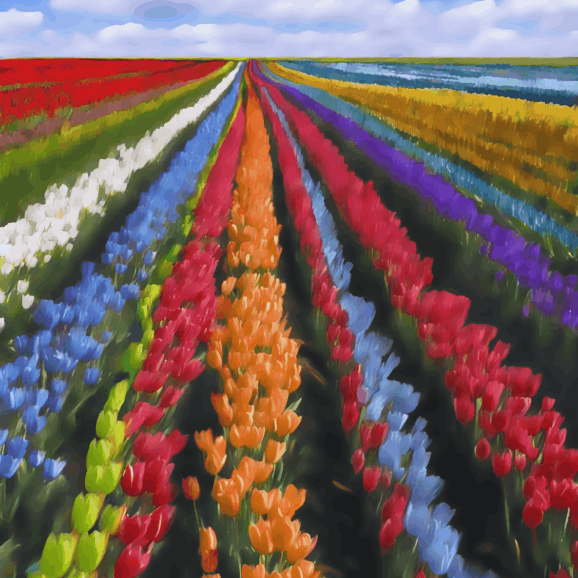 Coloring Flowers Farm