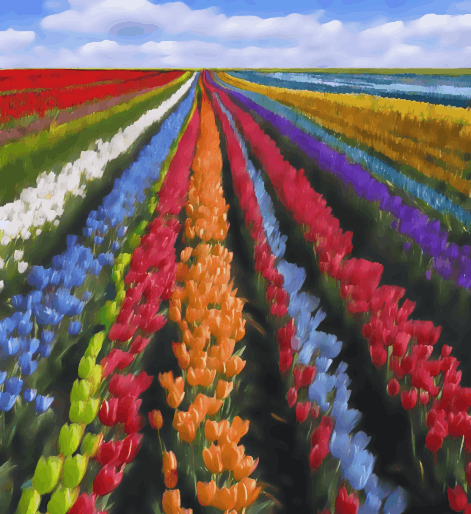 Coloring Flowers Farm