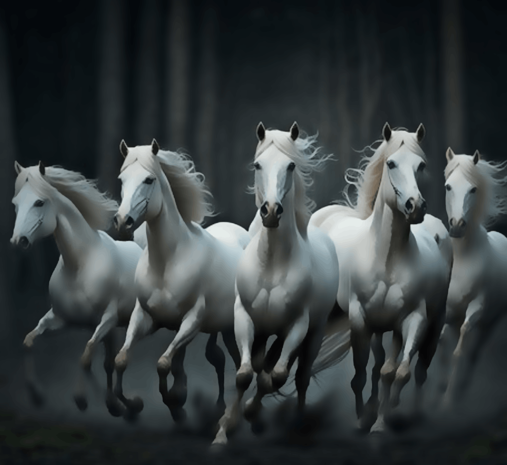 5 White Horses