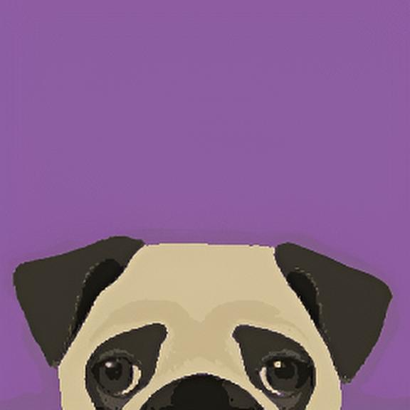 Plum Pug