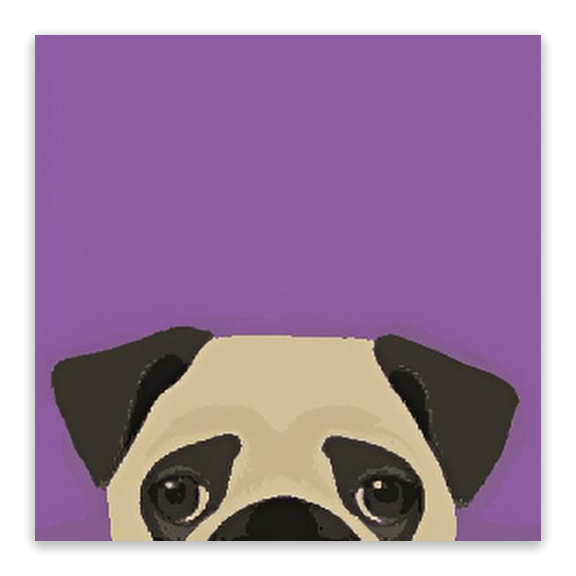 Plum Pug