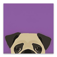 Plum Pug