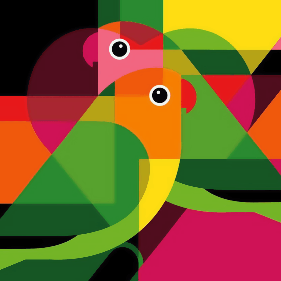 Parrots Coloring Artwork