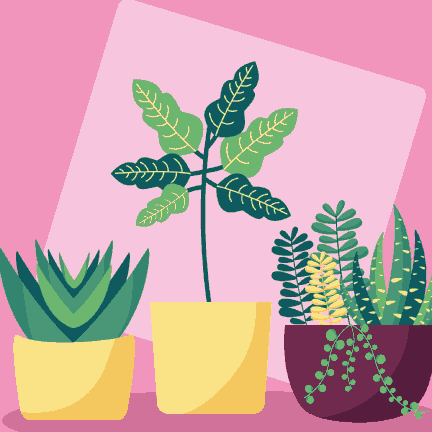 Plants In Pink